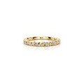 Golden Twist Band