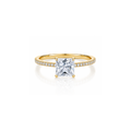 Princess Pavé Halo Ring (2/3/4ct )