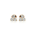 Starlight Clover Studs