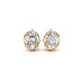 Radiant Oval Earrings
